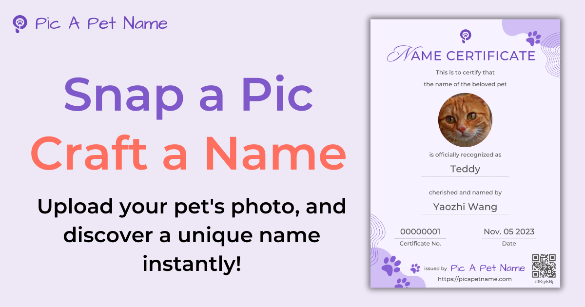 Pic A Pet Name Unique AI Pet Name Generator From Photos   Og 